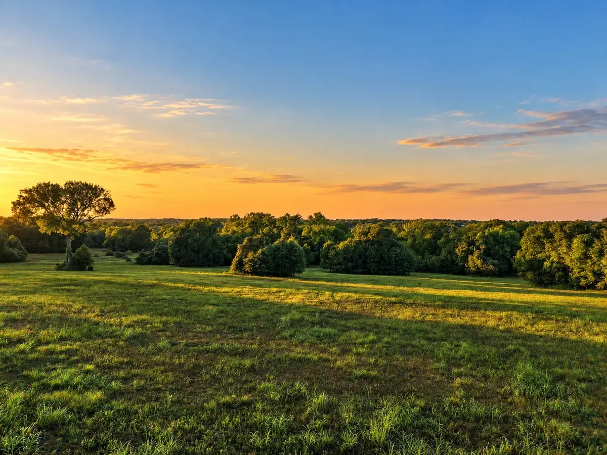 10277 Mt Falls School Road, Washington, TX 77880 - #1