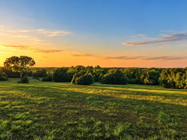 10277 Mt Falls School Road, Washington, TX 77880