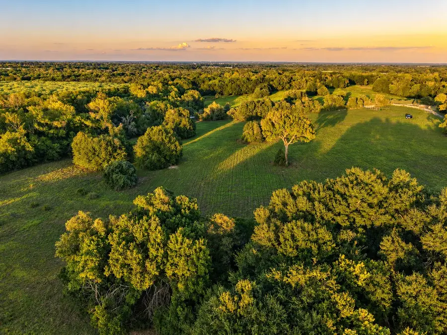 10277 Mt Falls School Road, Washington, TX 77880 - #3
