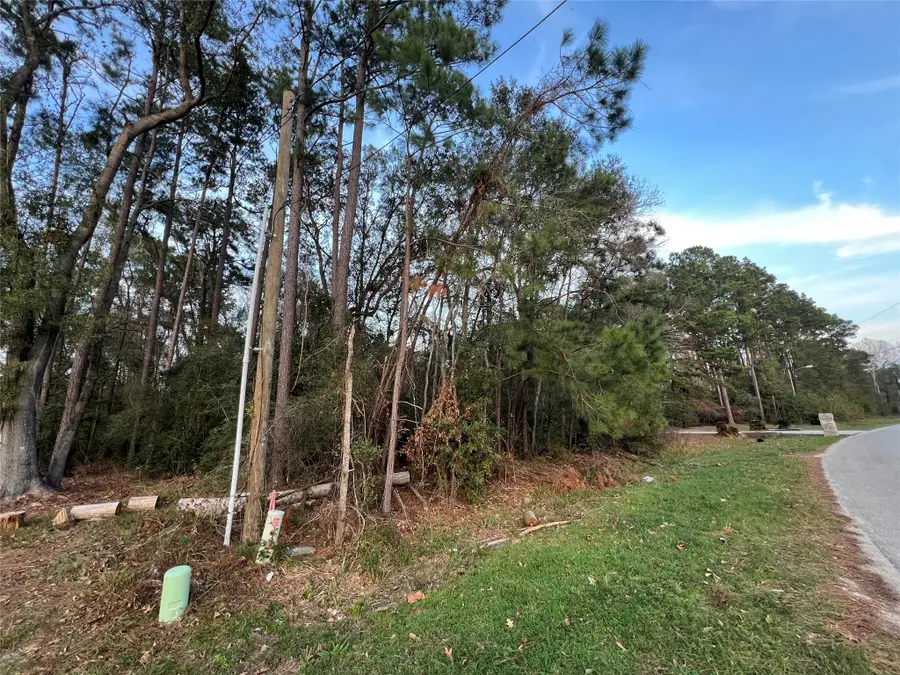 19541 Desna Drive, Porter, TX 77365 - Image #3