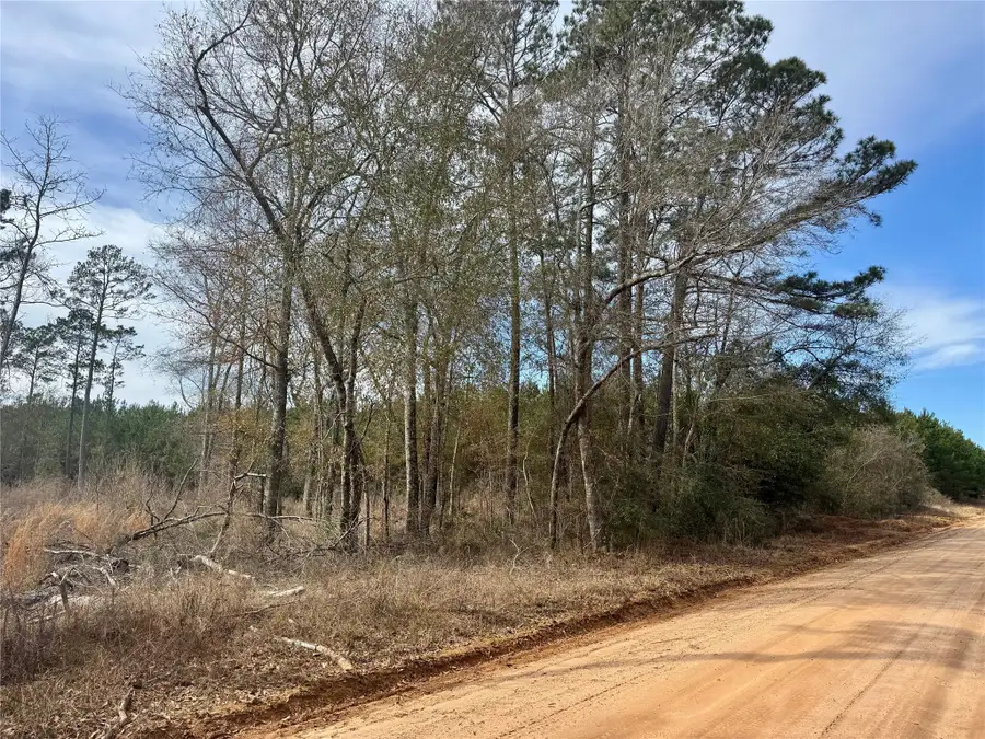 950 Tram Road, Livingston, TX 77351 - #2