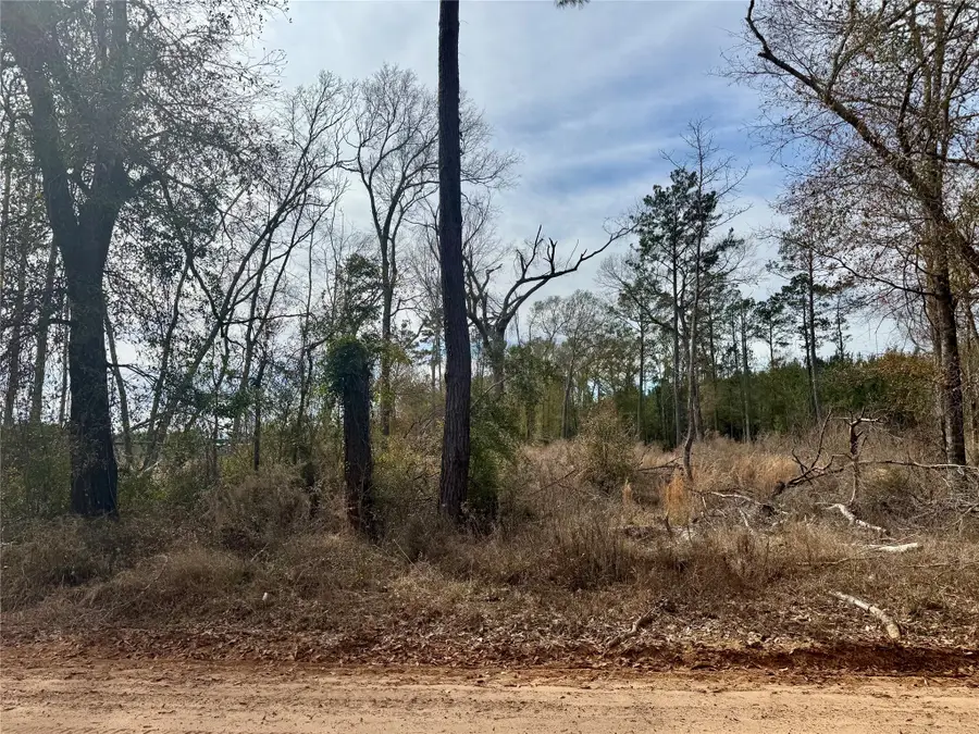 950 Tram Road, Livingston, TX 77351 - #3