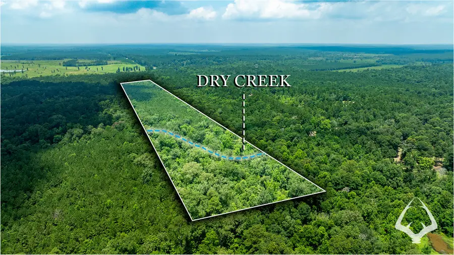 00 County Road 1058, Wiergate, TX 75977 - #2