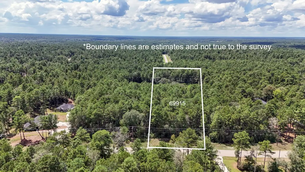 TBD Lonestar Road, Huntsville, TX 77358 - #1