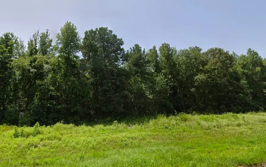 0 Hwy 155, Lone Star, TX 75668 - #3