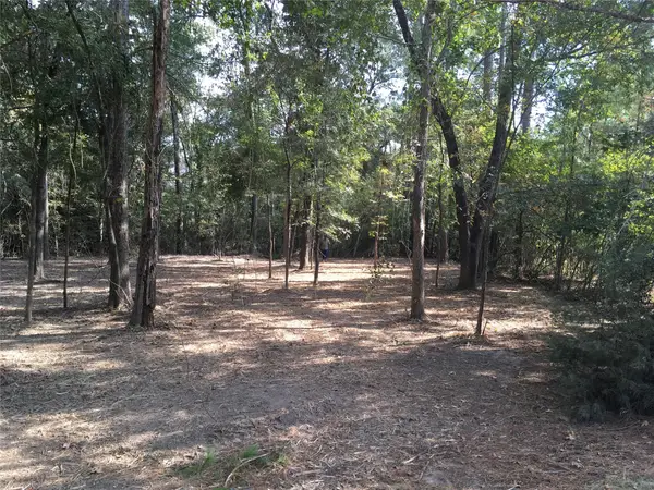 1930 Autumn Ridge Drive Drive, Conroe, TX 77304