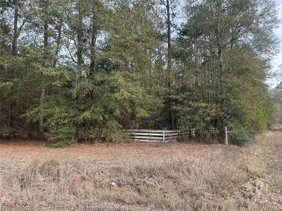 19043 Miranda Drive, Cleveland, TX 77328 - Image #2