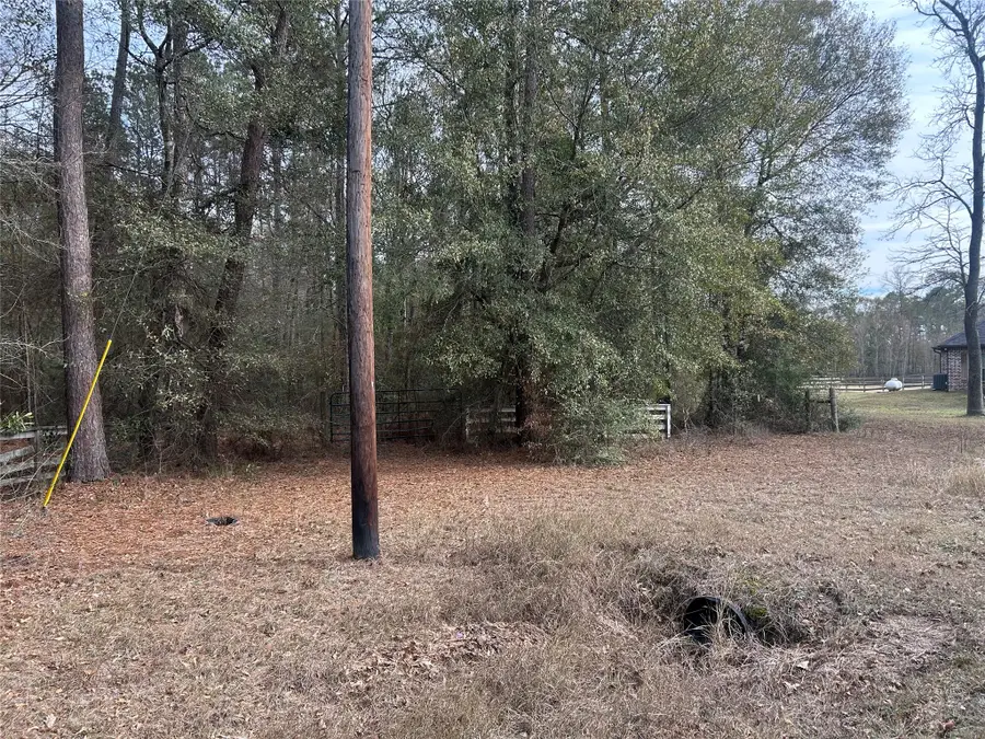 19043 Miranda Drive, Cleveland, TX 77328 - Image #3