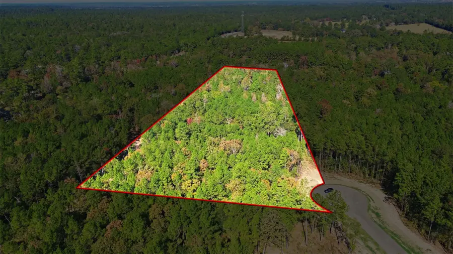 25219 Chisos Bend, Montgomery, TX 77316 - #2