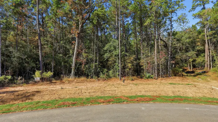 25219 Chisos Bend, Montgomery, TX 77316 - #3