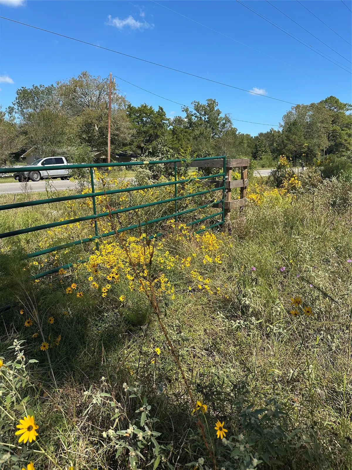 1520 Fm 160 Road N, Liberty, TX 77575 - #1