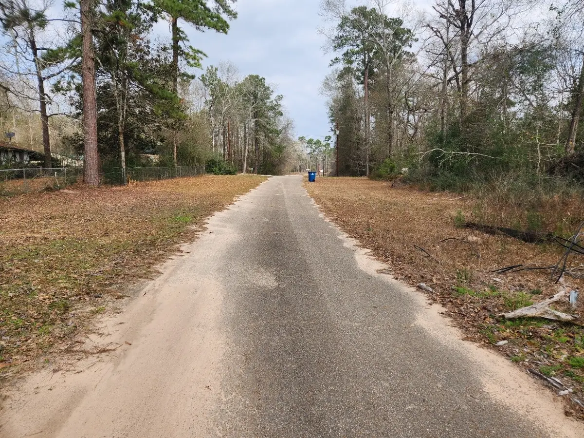 14709 Bimbo Lane, Conroe, TX 77302 - #1