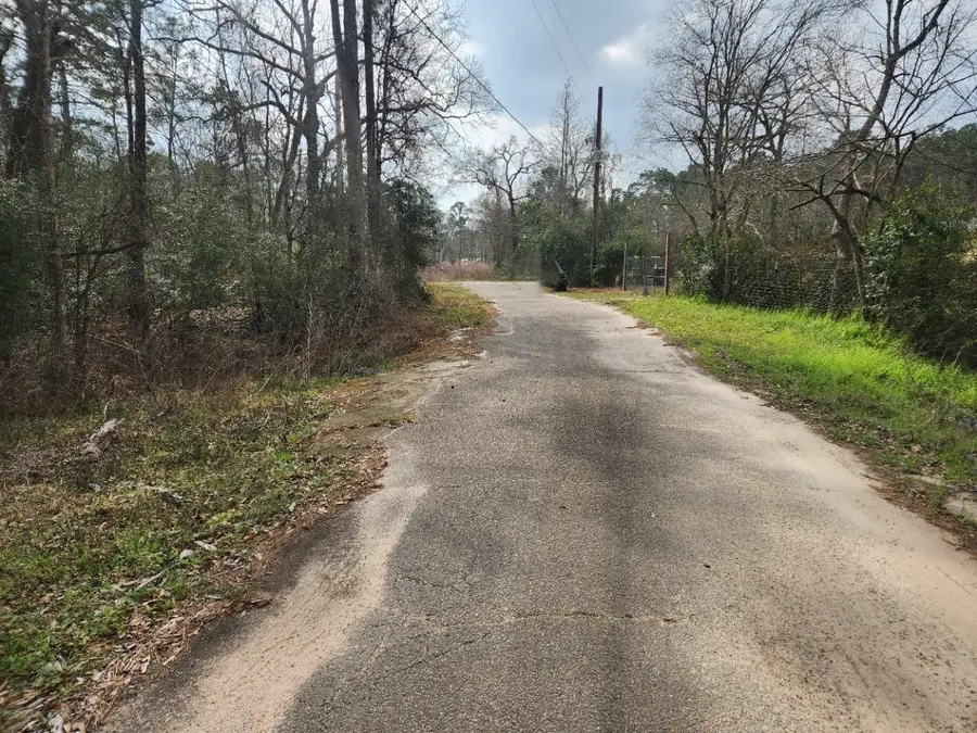 14709 Bimbo Lane, Conroe, TX 77302 - #2