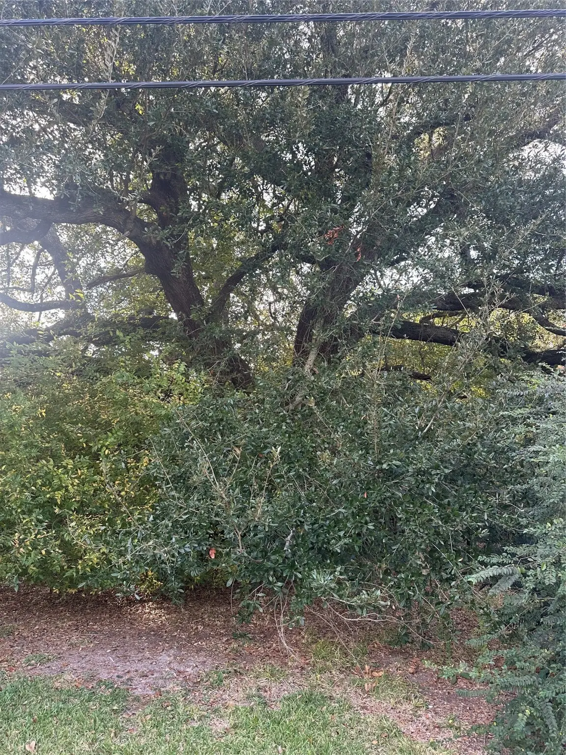 8711 N Garden Drive, Beaumont, TX 77705 - Image #1