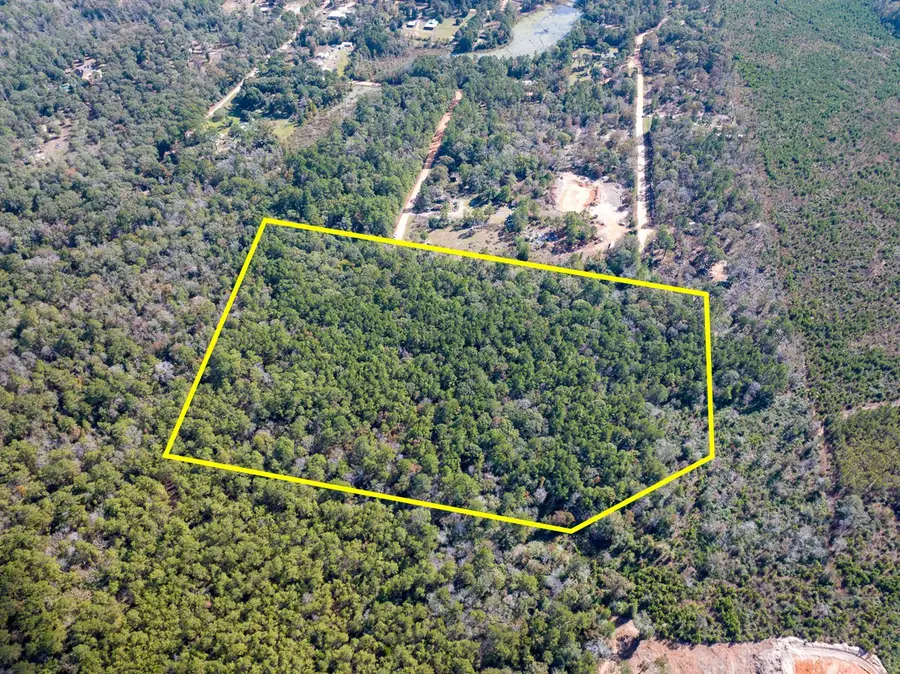 000 Mendez Road, Willis, TX 77378 - Image #2