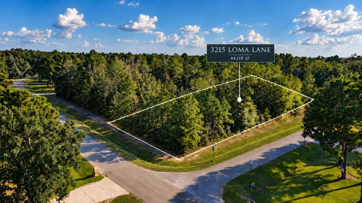 3215 Loma Lane, Spring, TX 77386 - #1
