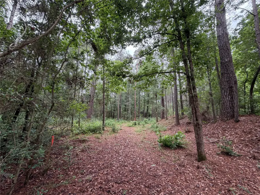 0 Hill Rd, Willis, TX 77378 - #3