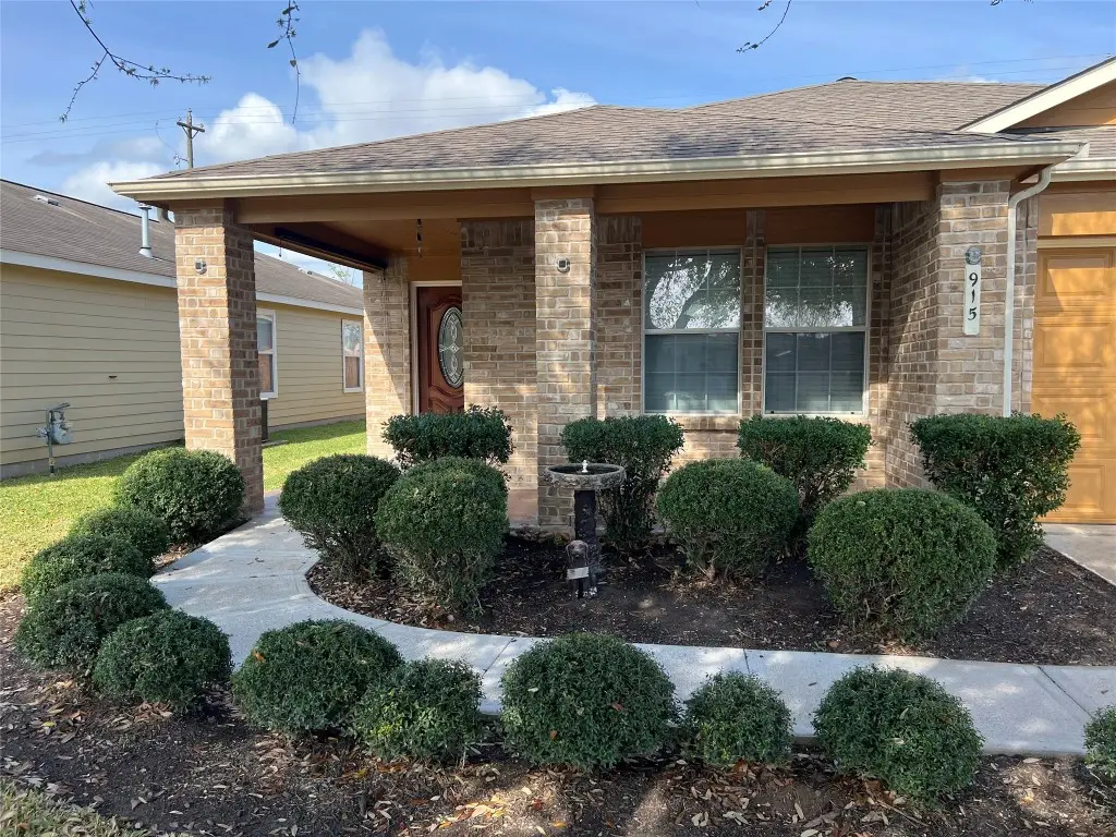 915 Wild Cotton Road, Rosenberg, TX 77471 - #1