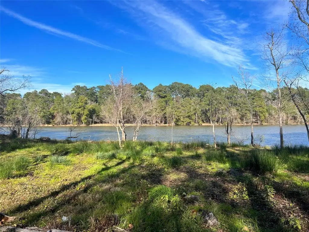 20247 W Lakelane, Humble, TX 77338 - #1