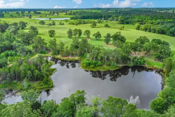 100+/- Acres Fm 773, Grand Saline, TX 75140