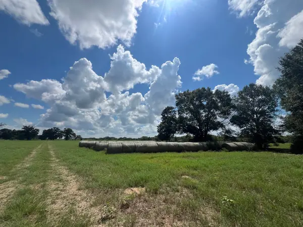 0 Fm 1371, Chappell Hill, TX 77426