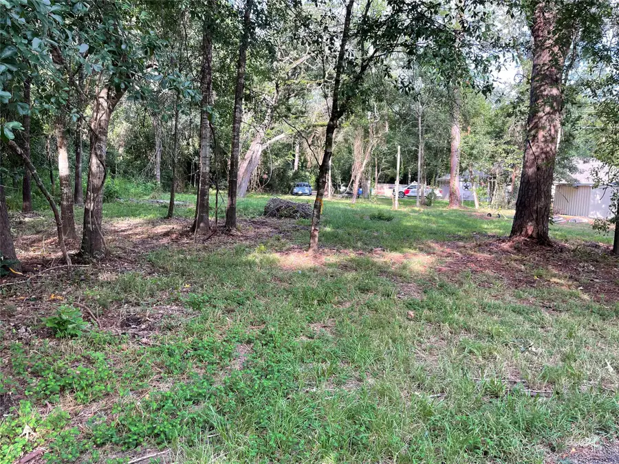 19397 Loafers Lane, Magnolia, TX 77355 - #2