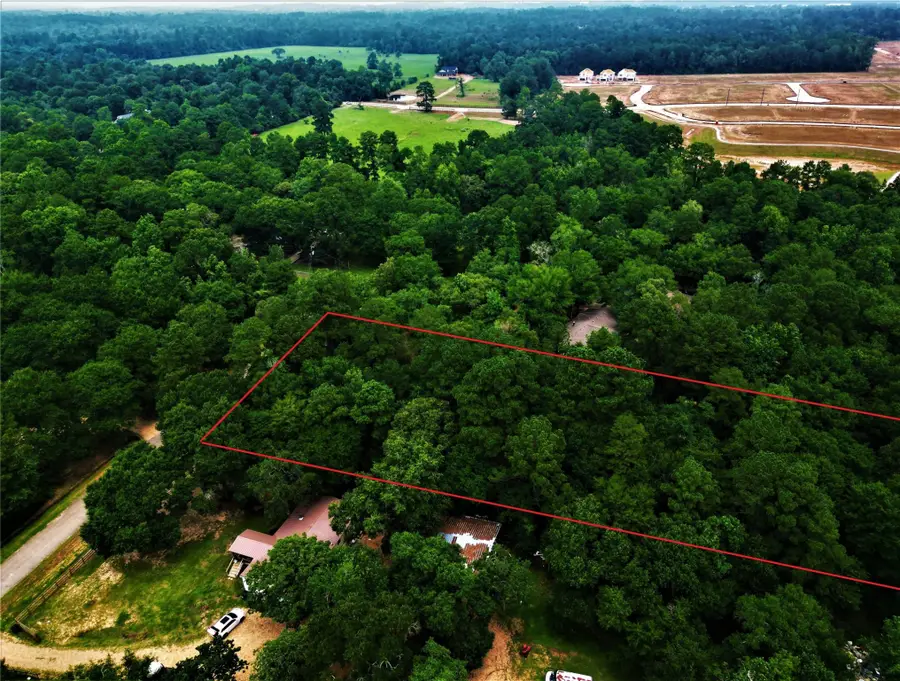 7349 Washington Avenue, Montgomery, TX 77316 - #2