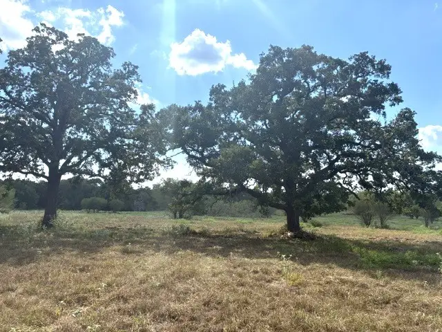 TBD County Road 121, Dime Box, TX 77853 - #2