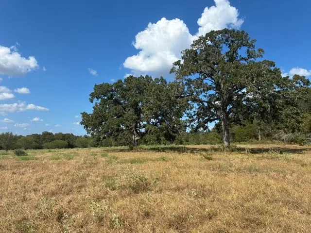 TBD County Road 121, Dime Box, TX 77853 - #3