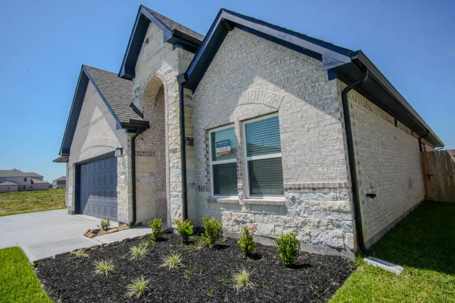3519 Windmill Palm Drive, Manvel, TX 77578 - #2