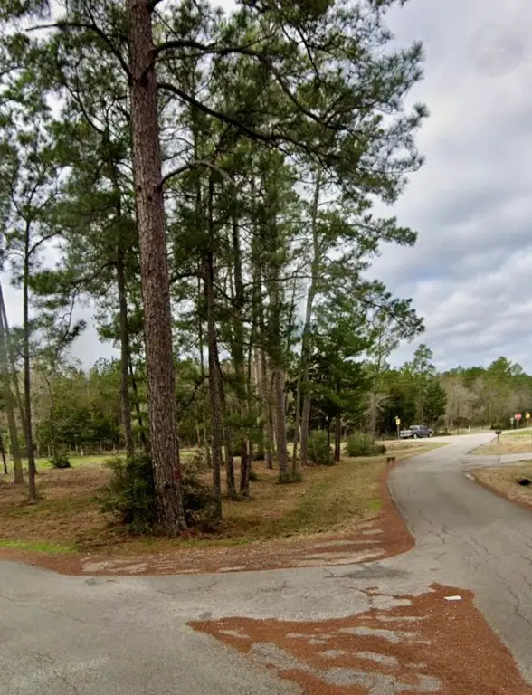 0 Grissom Road, Richards, TX 77873 - #3