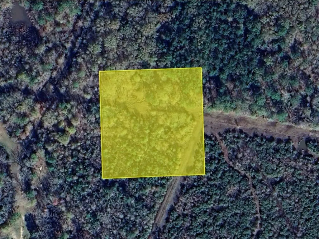 1430 Island Drive, Sour Lake, TX 77373 - #1