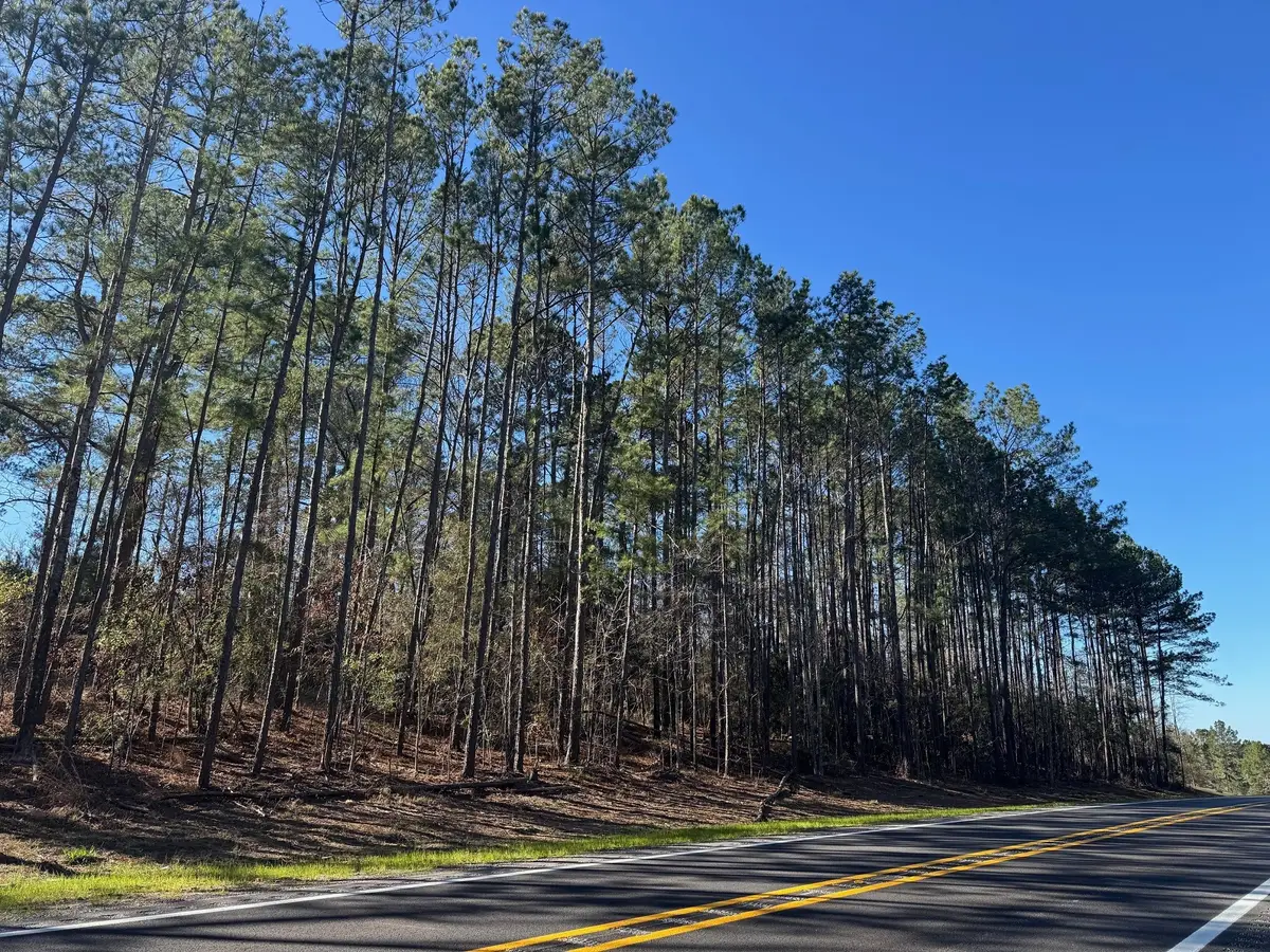 TBD Fm 1745 N, Colmesneil, TX 75938 - #1