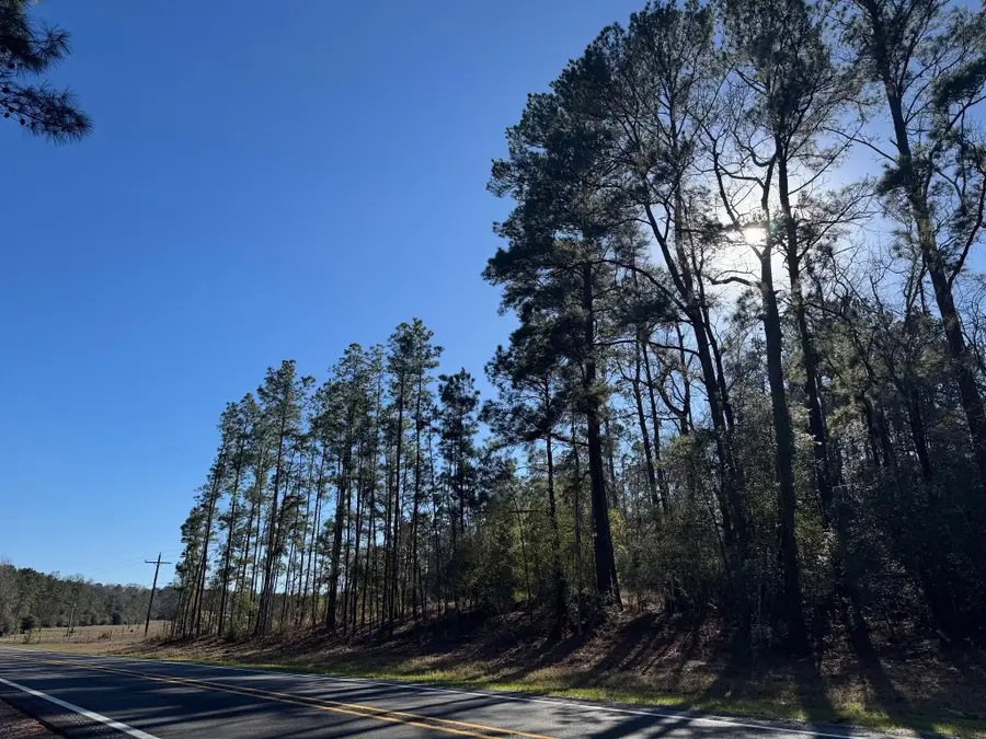 TBD Fm 1745 N, Colmesneil, TX 75938 - #2