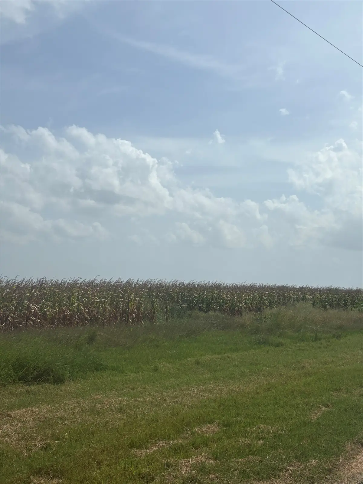000 County Road 3364, Alice, TX 78332 - #1