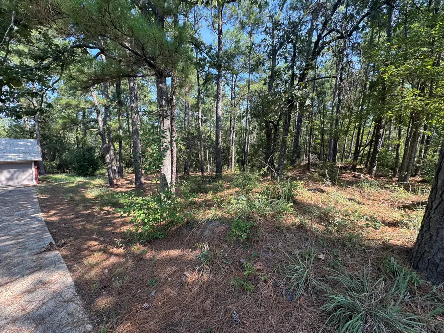 164 Pine Hollow Cove, Brookeland, TX 75931 - #2