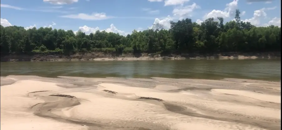 1 County Road 454, Dayton, TX 77535 - Image #3