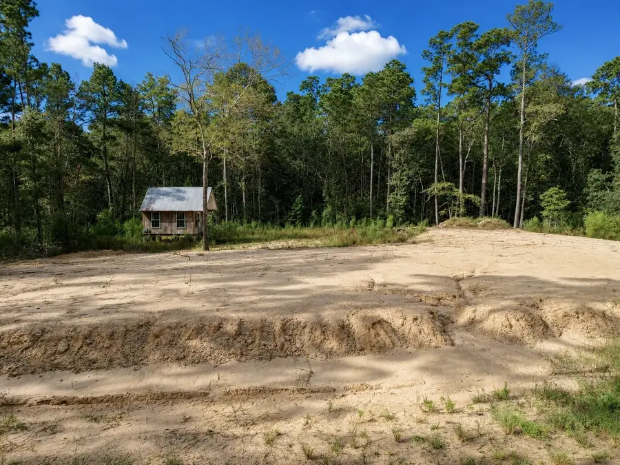 15782 Largent Drive, Plantersville, TX 77363 - #3