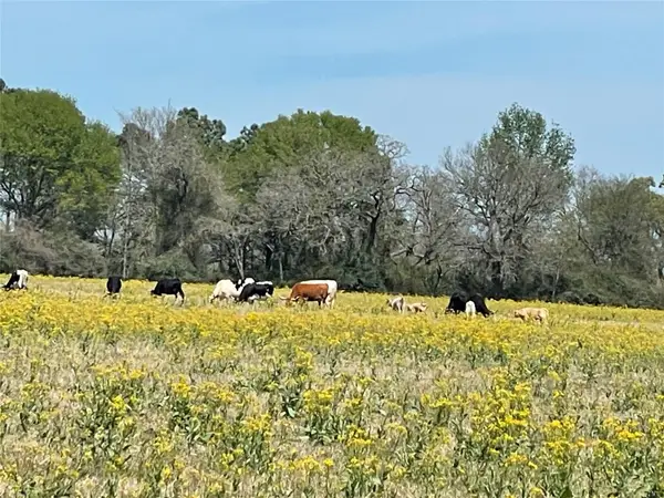 9877 County Road 112, Centerville, TX 75833