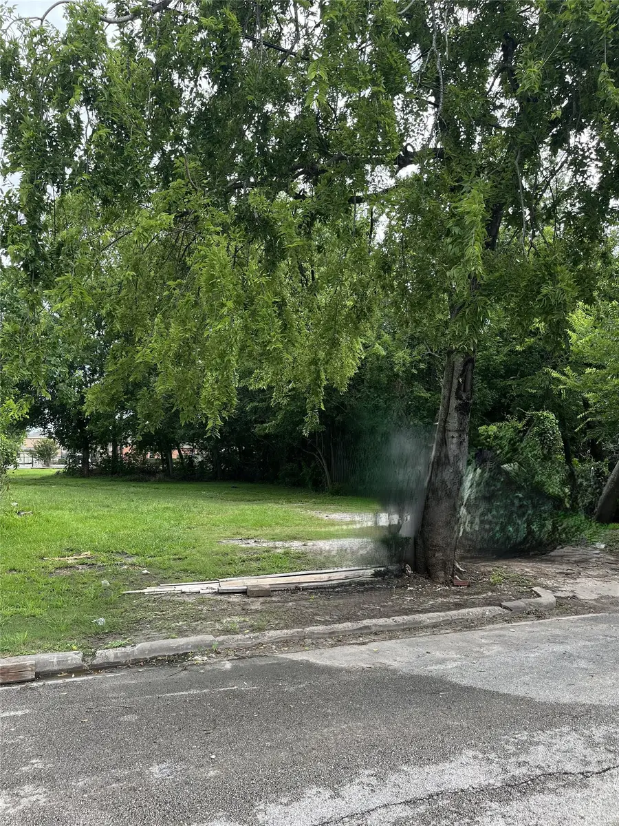 1510 Bayou Street, Houston, TX 77020 - #3