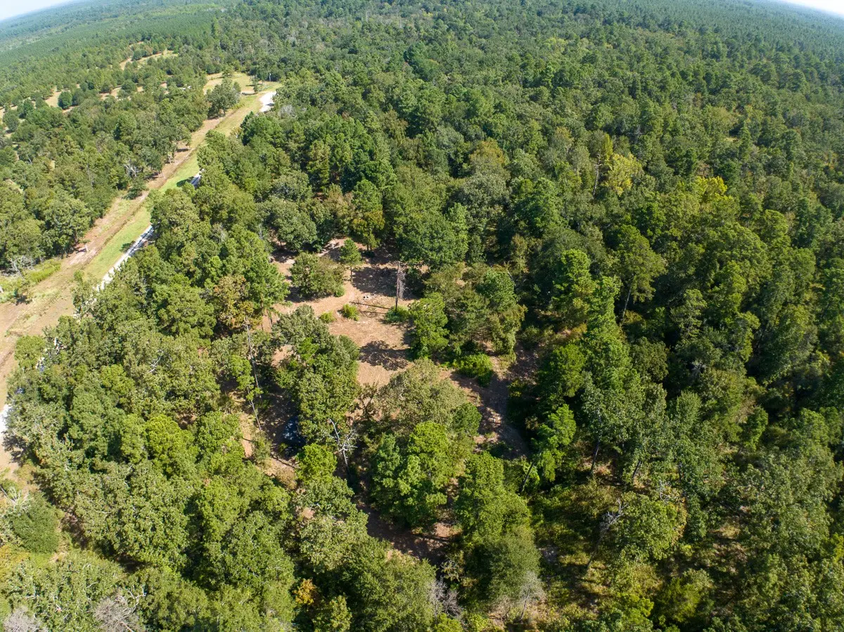 134 Cedar Ridge, Huntsville, TX 77320 - #1
