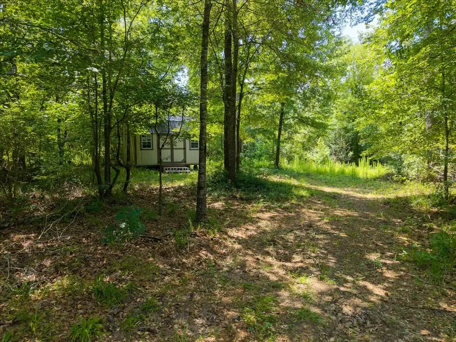 TBD Williams Rd, Garrison, TX 75946 - #3