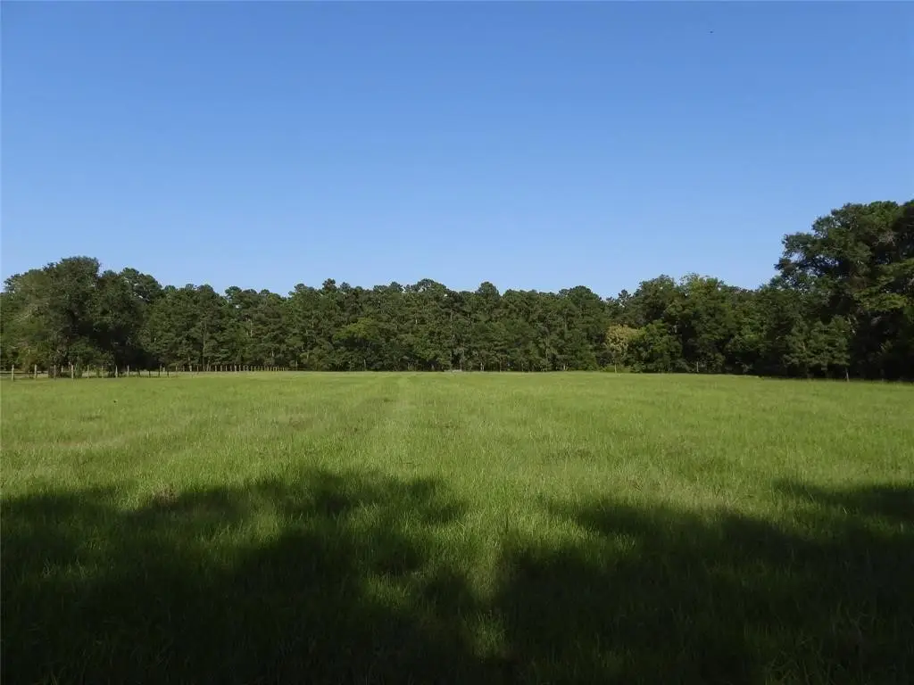 18855 Bethel Rd, Richards, TX 77873 - #1
