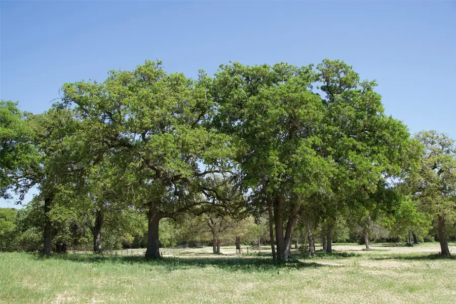 1035 Old Sayers Road, Elgin, TX 78621 - #2