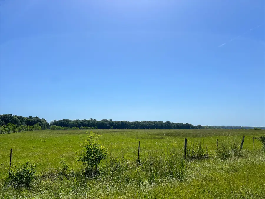 0 Old Sour Lake Road, Sour Lake, TX 77659 - #3