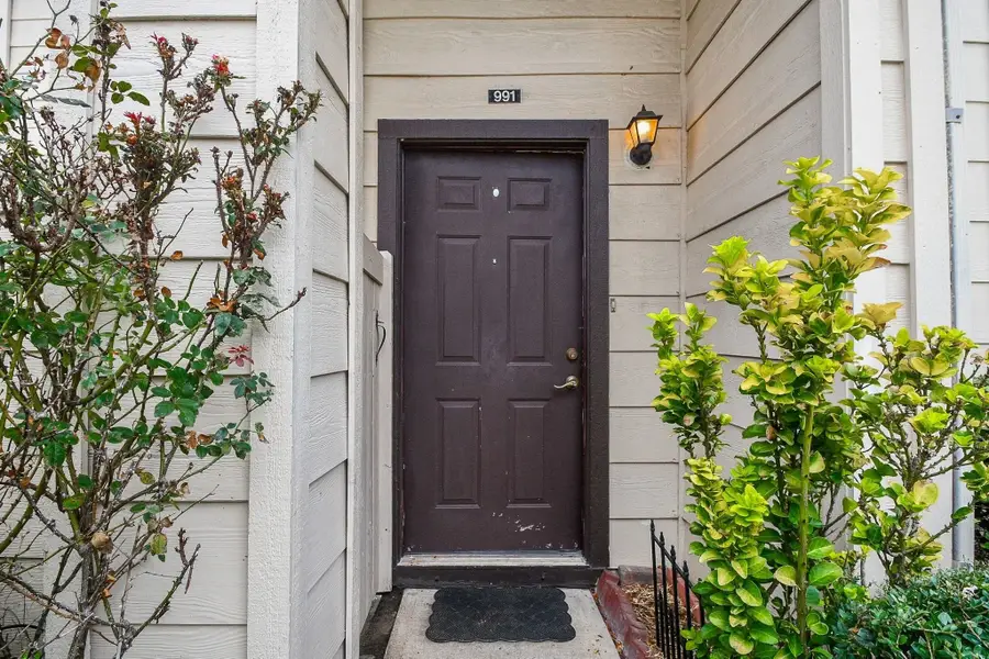 13038 Leader Street #991, Houston, TX 77072 - #2