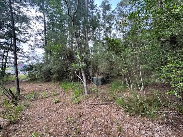 91 Meadow Lake Drive, Trinity, TX 75862 - #3