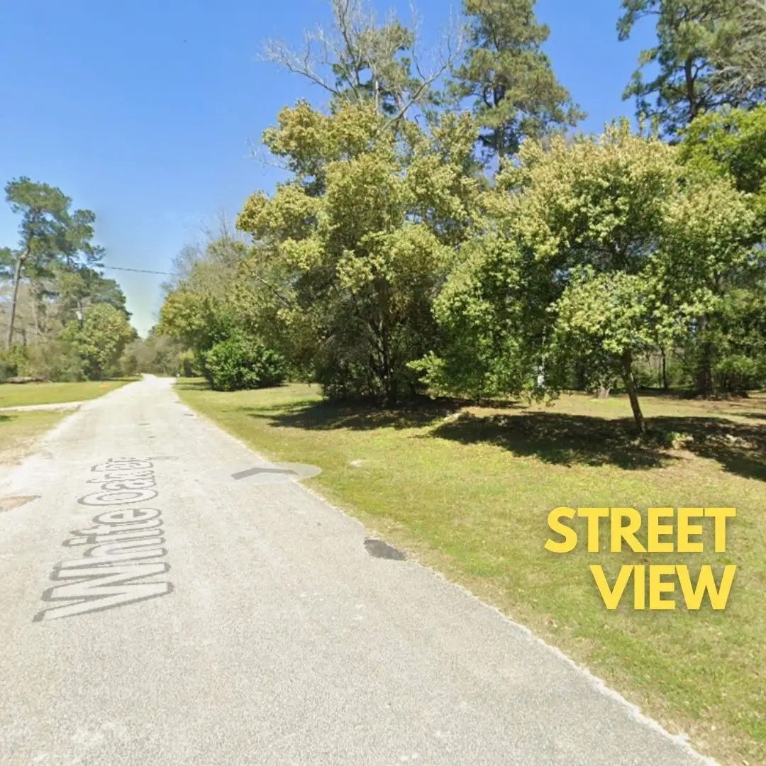 103 White Oak Drive, Woodbranch, TX 77357 - #1