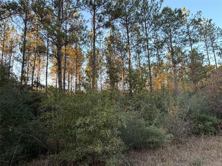 Lot 39 Carter Ranch Road, Kountze, TX 77625 - Image #2