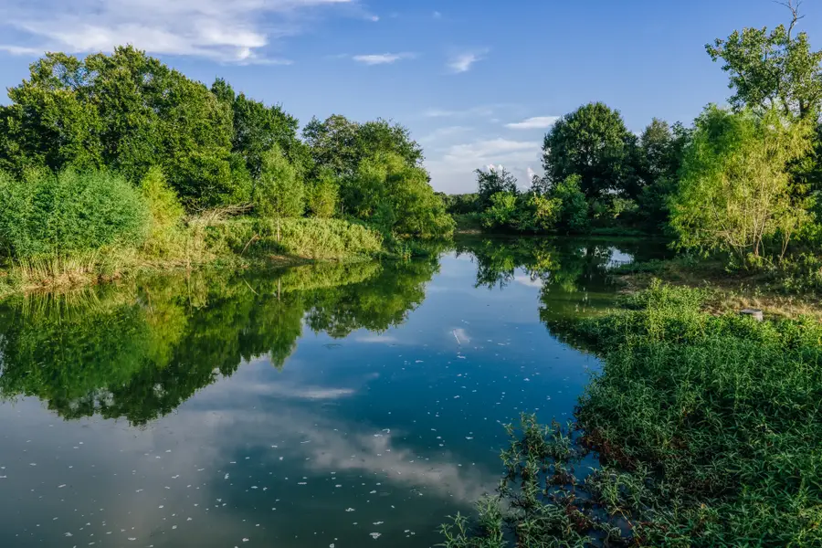 9102 Fm 2621, Brenham, TX 77833 - #3